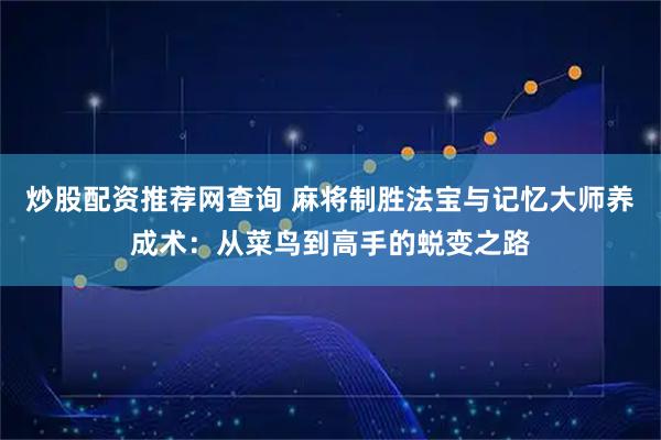 炒股配资推荐网查询 麻将制胜法宝与记忆大师养成术：从菜鸟到高手的蜕变之路