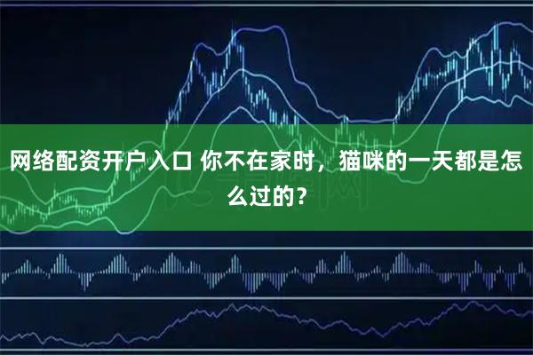 网络配资开户入口 你不在家时，猫咪的一天都是怎么过的？
